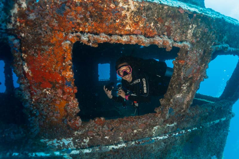 mergulho em recife - bellatrix