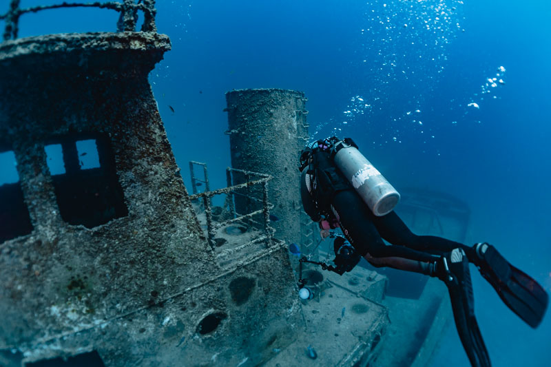 mergulho em recife - bellatrix