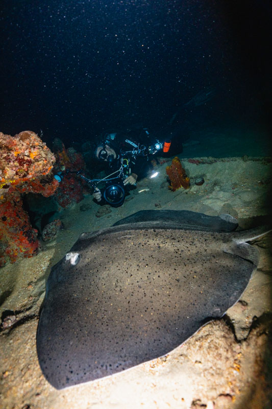 mergulho em Recife - Pirapama
