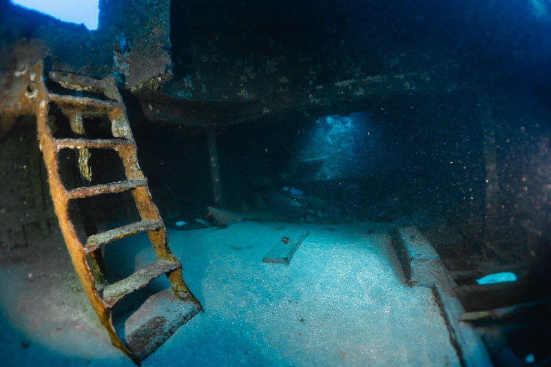 mergulho em recife - servermar X