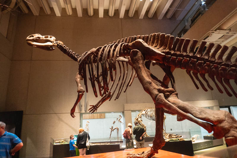 o que fazer em brisbane