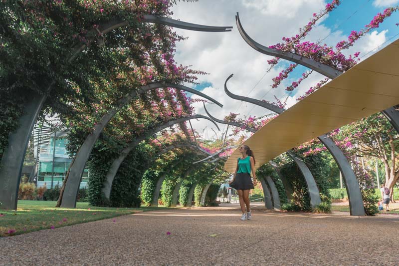 o que fazer em brisbane