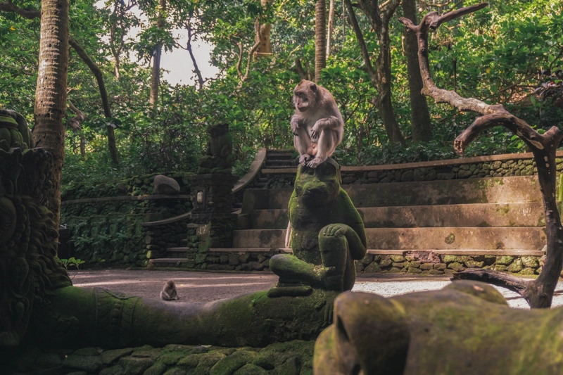 Floresta dos Macacos, uma das principais atrações de Ubud, Bali.