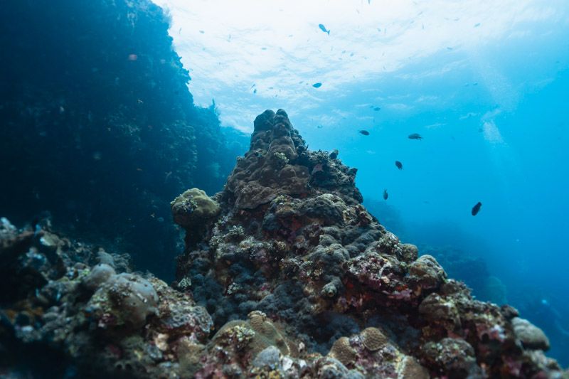 mergulho em bali - tulamben drop off