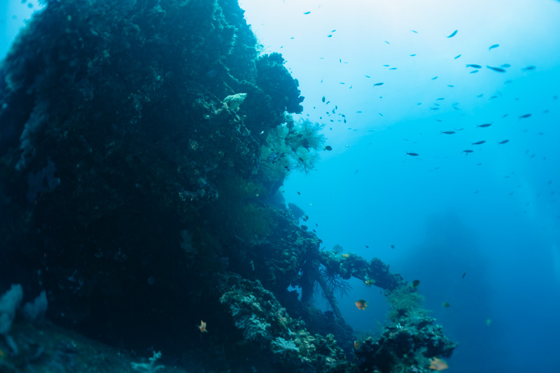 mergulho em Tulamben 0 naufrágio USAT Libert