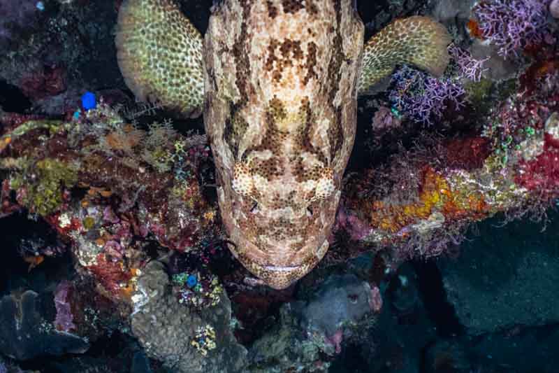 mergulho em tulamben, bali