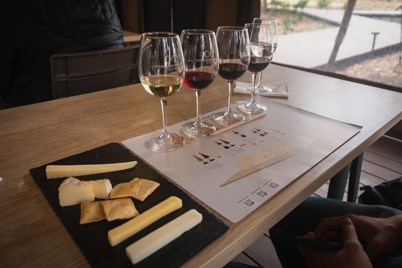 Degustação de queijos e vinhos na vinícola Concha y Toro, no Chile