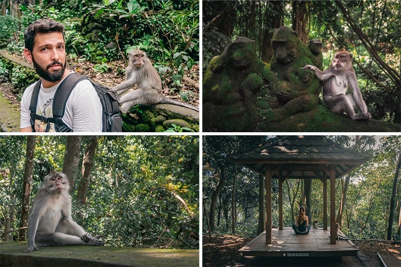 Monkey Forest Sanctuary, a Floresta dos Macacos em Ubud, uma das principais atrações de Bali