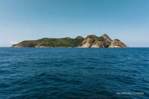 Vista da Ilha de Alcatrazes a partir do mar.